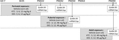 Perinatal exposure to the fungicide ketoconazole alters hypothalamic control of puberty in female rats